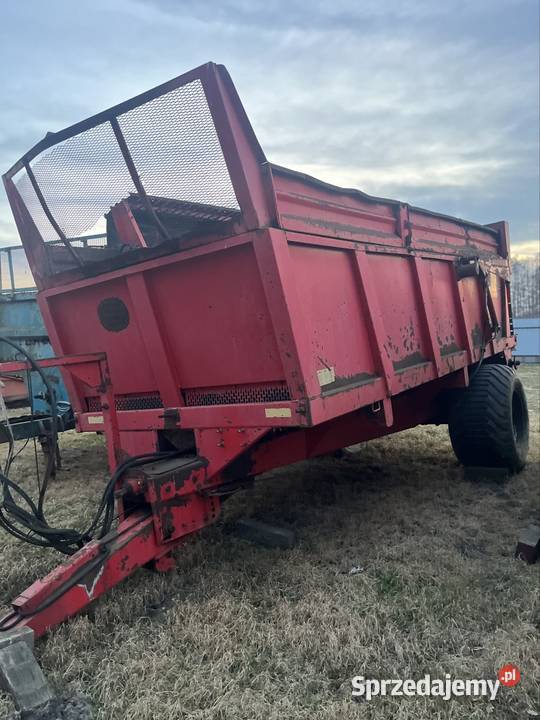 Rozrzutniki nieuszkodzony mazowieckie