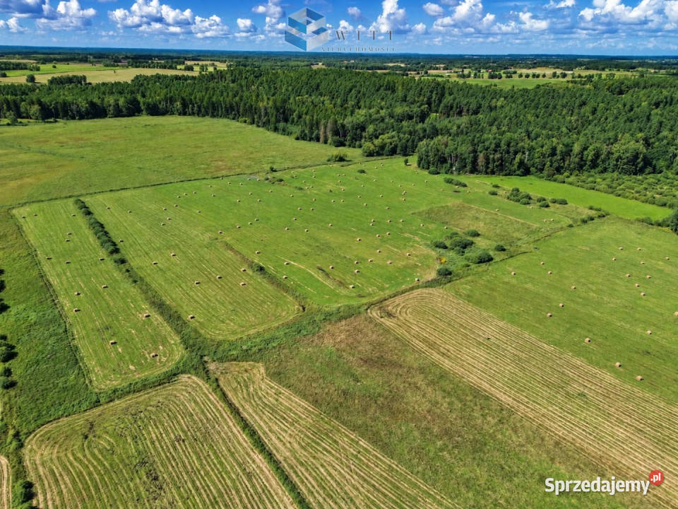 Działka Liwa 31400m2 warmińsko-mazurskie