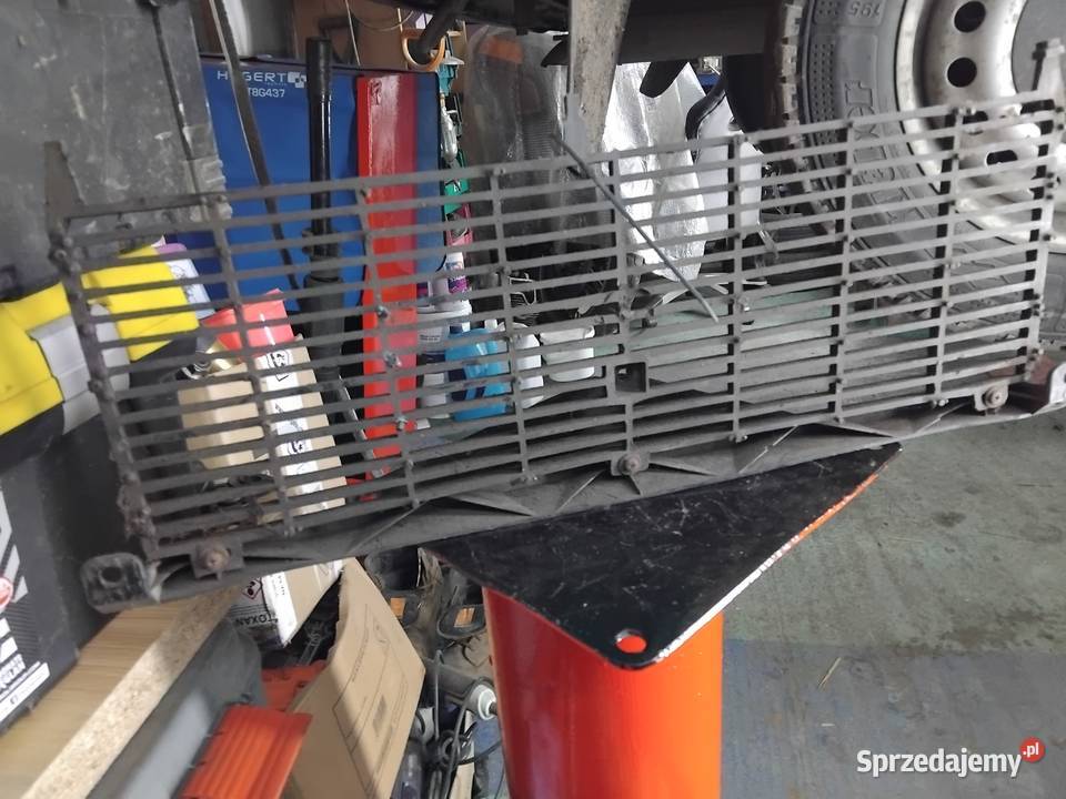 125p gril atrapa Adamin