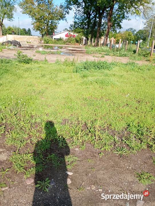 Dom hala warsztat samochodowy