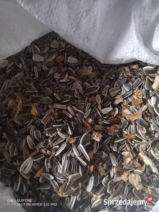 Słonecznik odpady Białopole