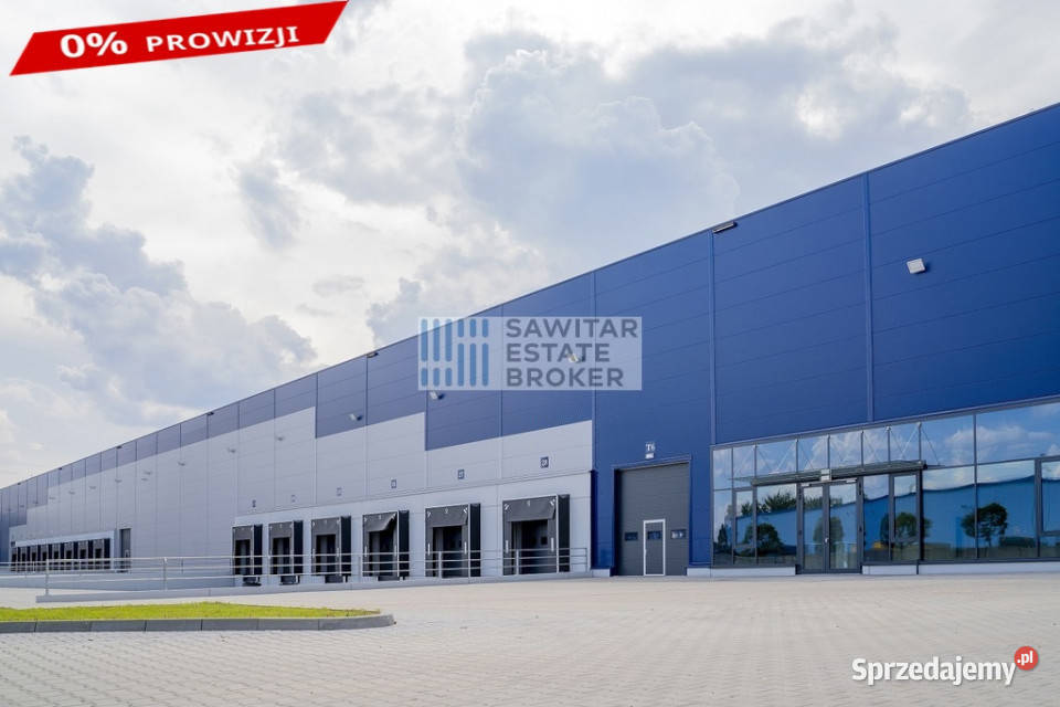 Hala magazynowoprodukcyjna S7 Koluszki