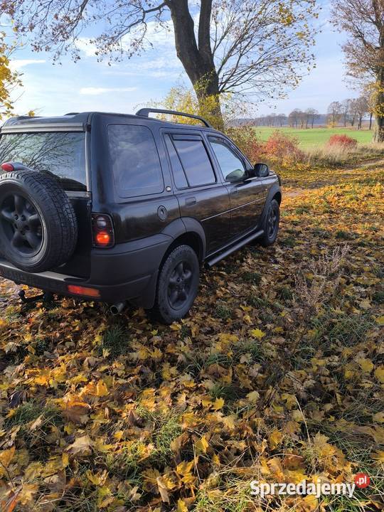 Sprzedam Landrover Freelander Freelander Trzcianka sprzedam