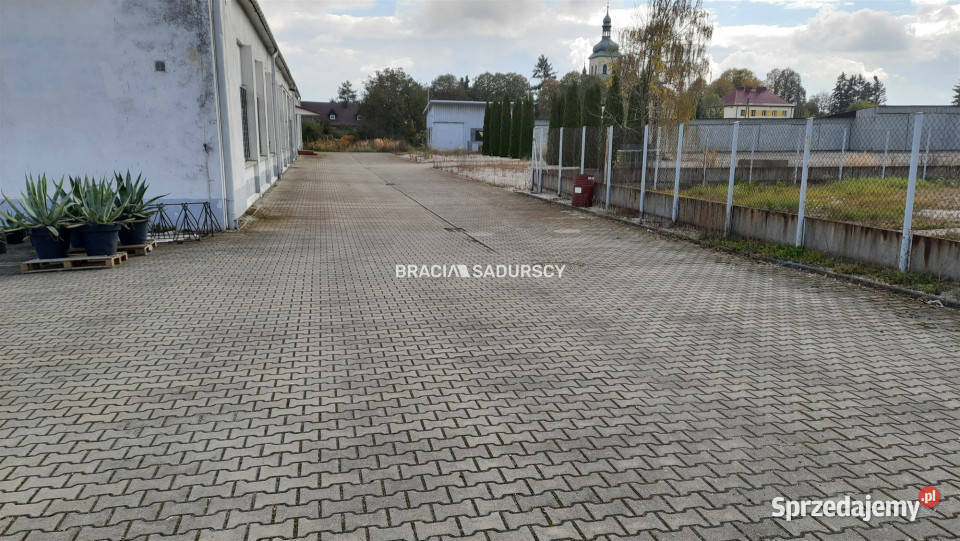 Lokal MiechówCharsznica Miechowska dojazd asfaltowy Miechów-Charsznica