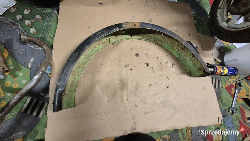 Komar błotnik tylny Hryniewicze