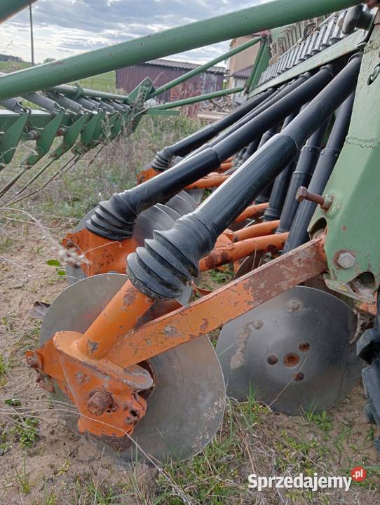 Siewnik Smażone D825 super Czyżew