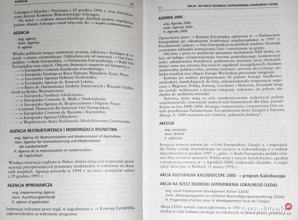 Leksykon Unii Europejskiej Iwona Kienzler Rok wydania 2003 lubelskie Chełm