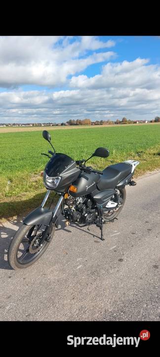 Sprzedam Pięknego Junaka łańcuch Opatów sprzedam