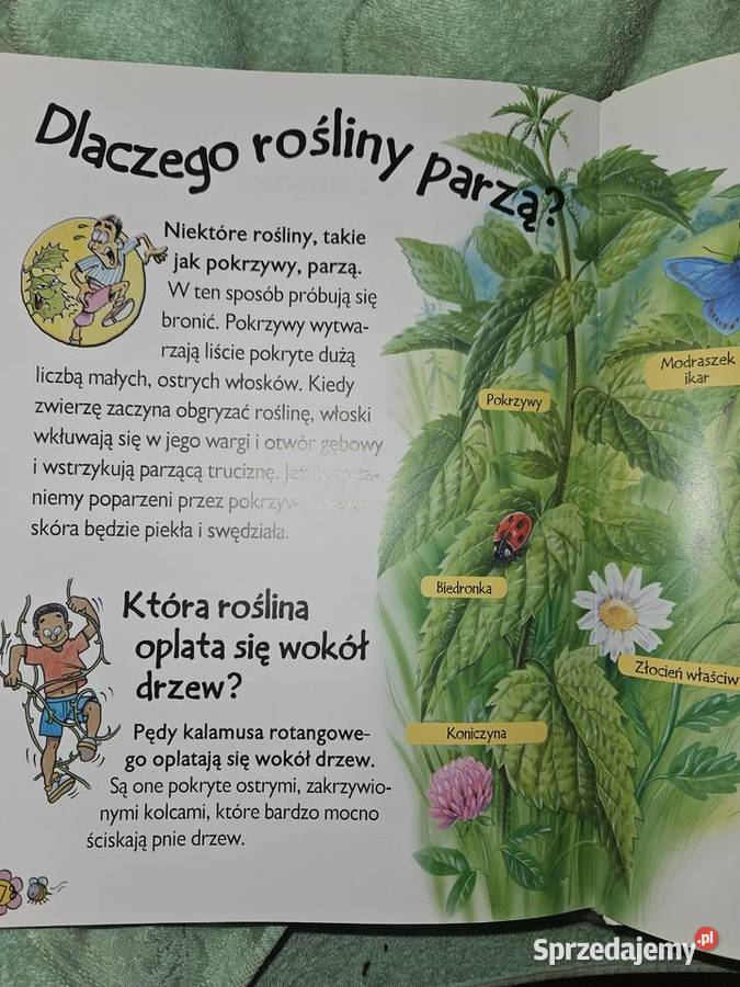Encyklopedia najmlodszych Czy wiesz Nowa Warszawa