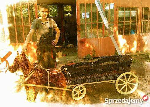 Koń z wozem sprzedam