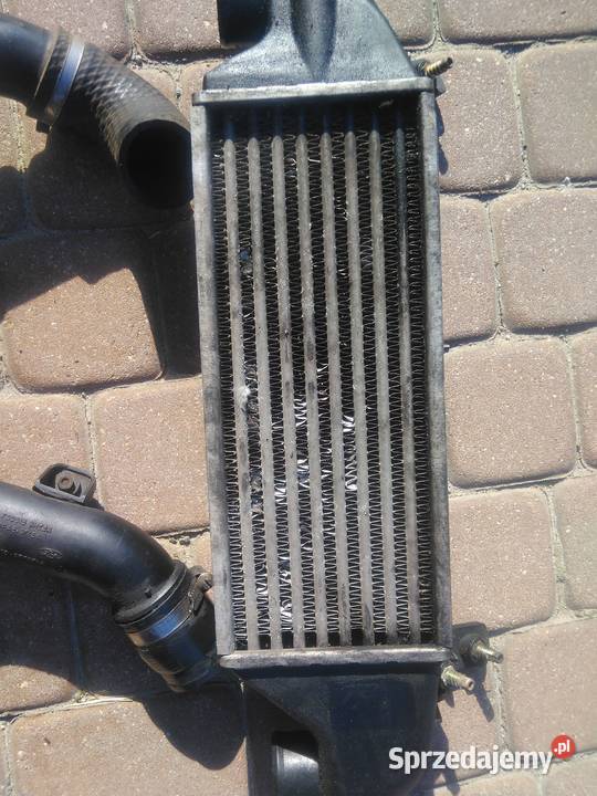 ford transit interkuler Łuków