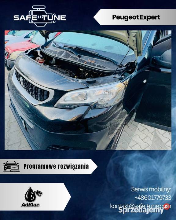 Programowe UsuwanieWyłączanie SCRADBLUE DPF EGR Rzeszów