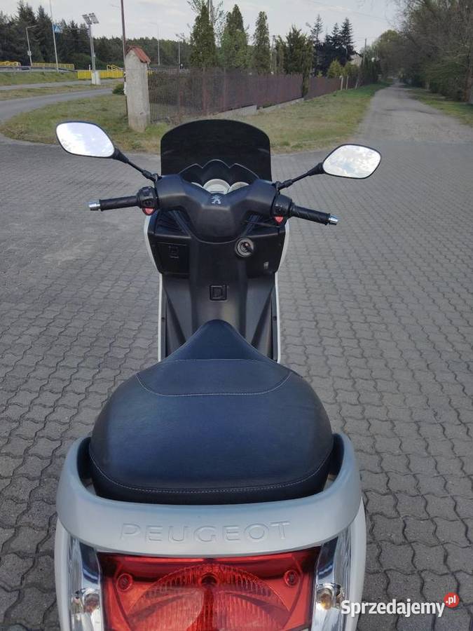 Peugeot citystar 200 Peugeot Skępe