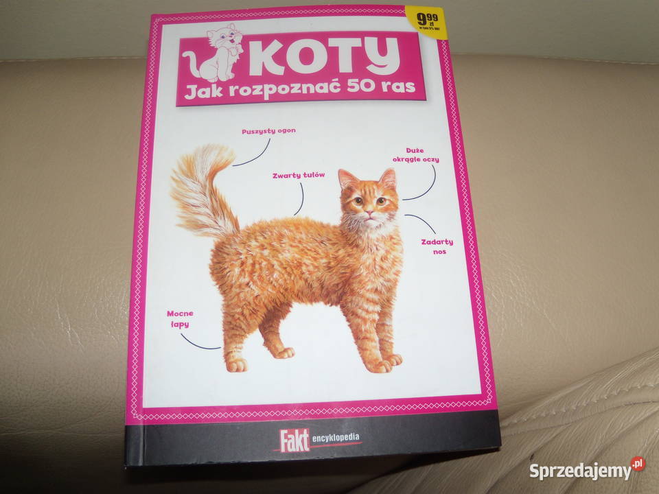 Koty rozpoznać 50 ras Warszawa