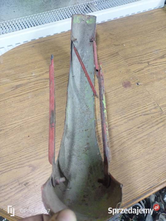 Błotnik komar Łubno