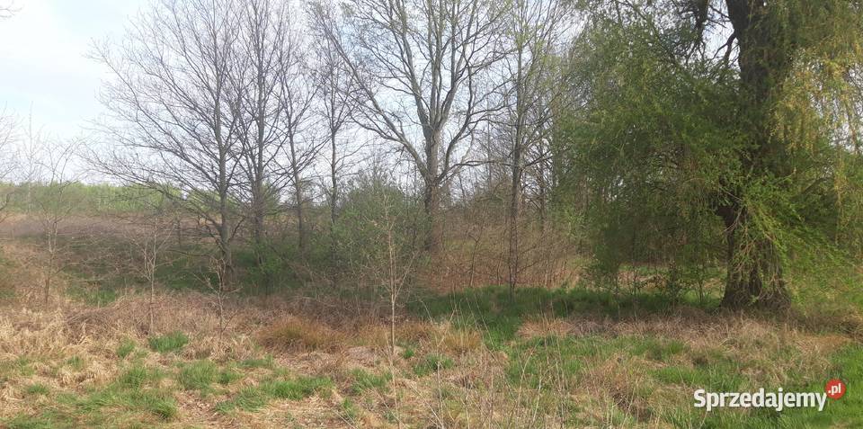 Twoje miejsce na dom wśród zieleni Koźla 2400 m