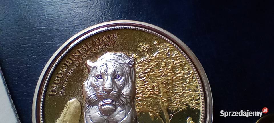 Stare monety Medal 234 Lesko