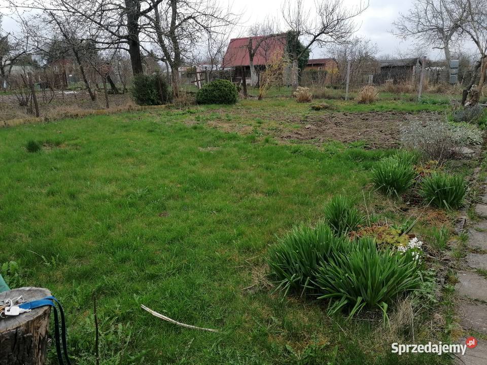 Działka ROD rekreacyjno warzywna Koszalin