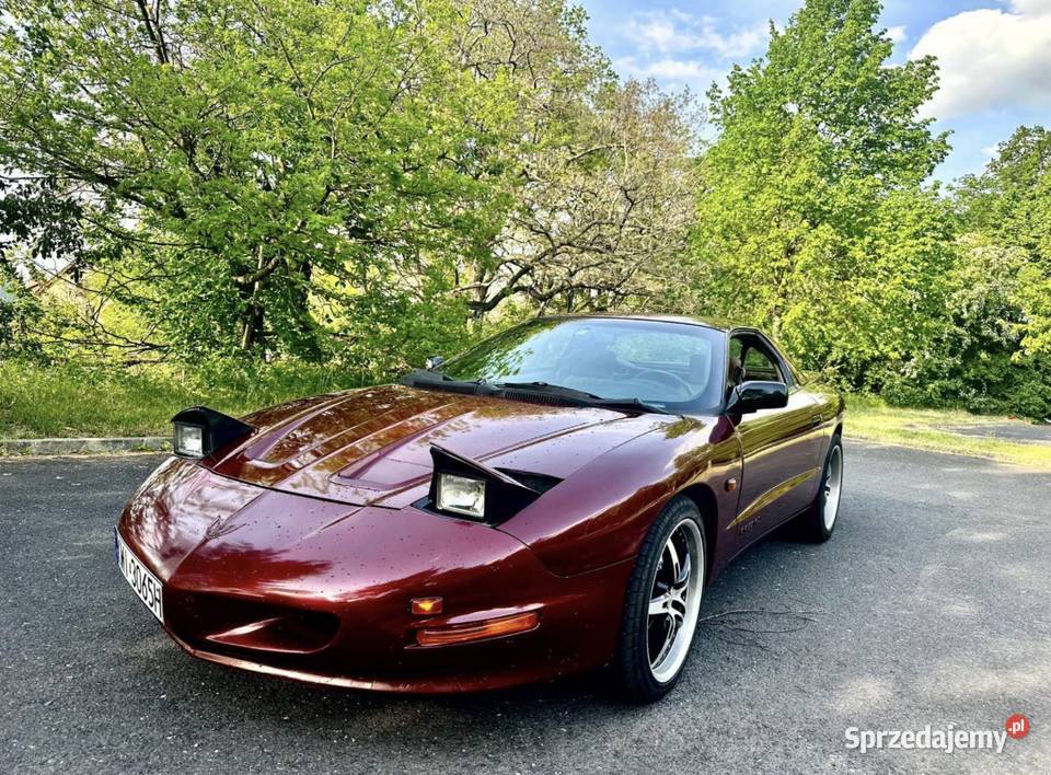Pontiac firebird 34v6 mazowieckie Ostrołęka