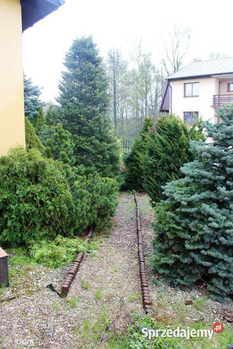 Dom z budynkami gospodarczymi Grabów Rycki sprzedam