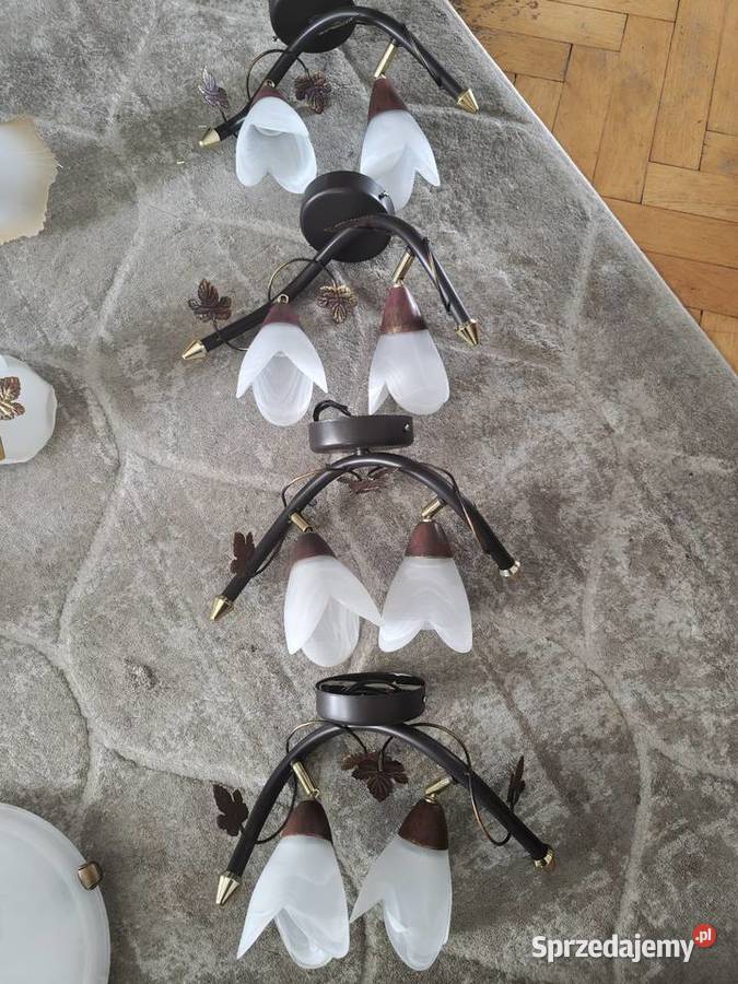 Lampy punktowe wiszące Dębica sprzedam