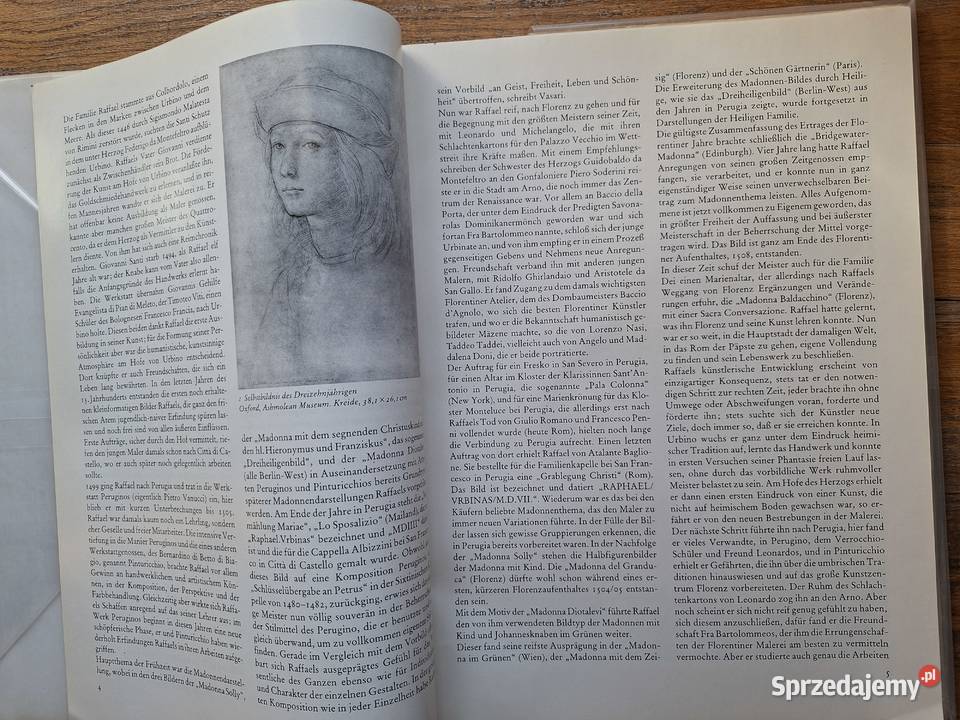 Raffael Książki naukowe i popularnonaukowe