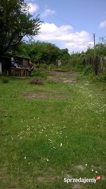 Ogródek działkowy ROD Przyszłość Bytom