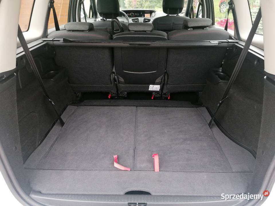 Renault Grand Scenic III śląskie