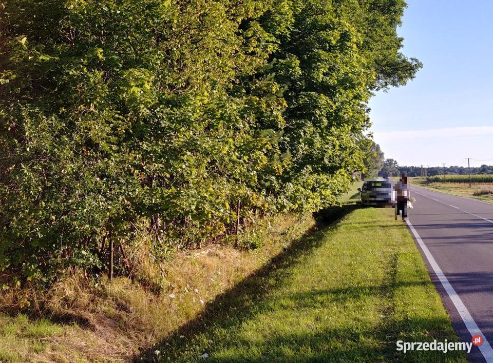 Sulejów gm Jadów 50 min Wawy 32m