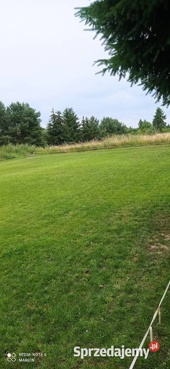 DZIAŁKA REKREACYJNA NA ROD wielkopolskie Trzcianka