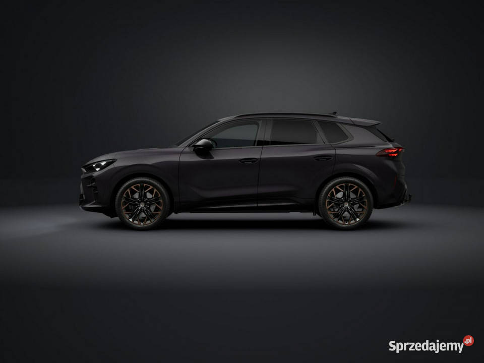 Cupra Terramar Advantage Edition 20 TSI 204 DSG Łódź