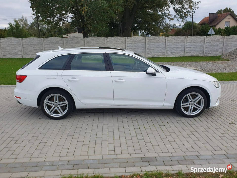 Audi A4 B9 20tdi Automat Panorama Ledy Navi Strobice sprzedam