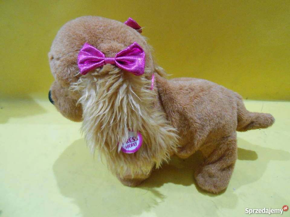 Interaktywny Piesek Lucy Katowice