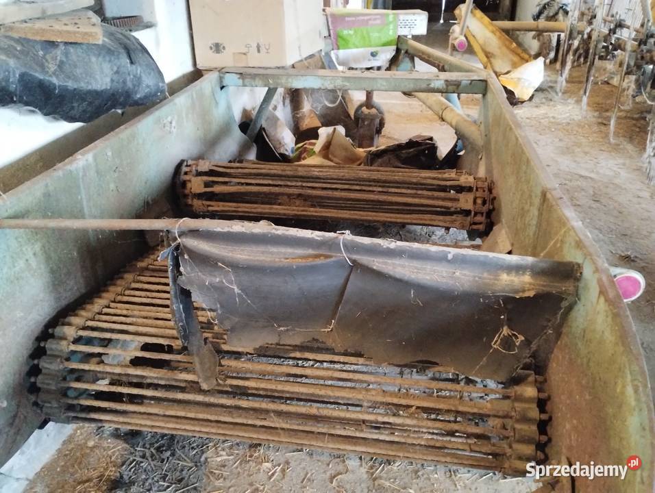 Kopaczka 2 rzędowa Szumowo