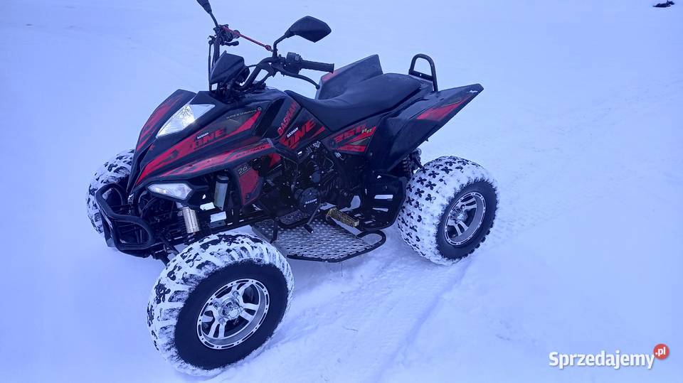 Quad Bashan BS 250 AS Xone Alfarad Cobra Rok produkcji 2021 Siemiatycze