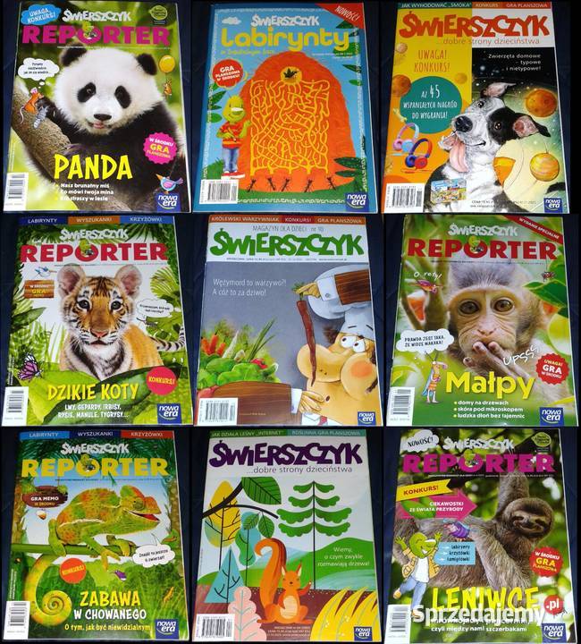 Świerszczyk Magazyn dzieci 9 Chełm