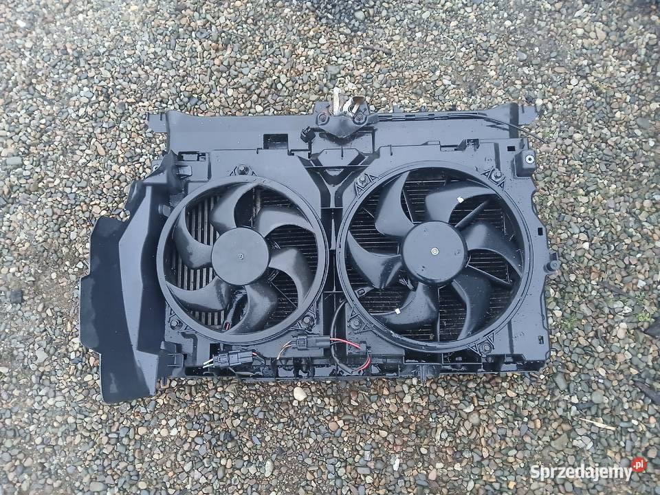 Pas Przedni Peugeot Expert Scudo Jumpy II 20 HDI Radłów