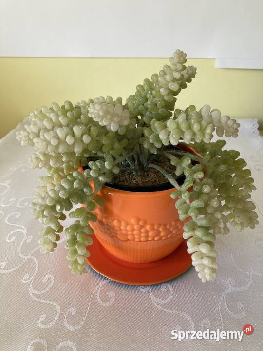 Donica Sztuczny Kwiat Burito Sukulent Podstawka Dekoracje i ozdoby Czerwionka-Leszczyny