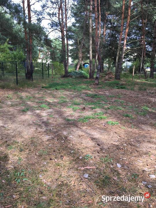Działka ROD Toruń kujawsko-pomorskie