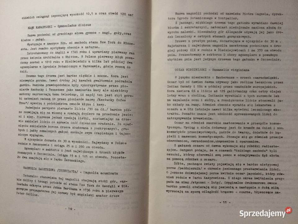 713 Park ImJana Kasprowicza W Szczecinie zachodniopomorskie Szczecin