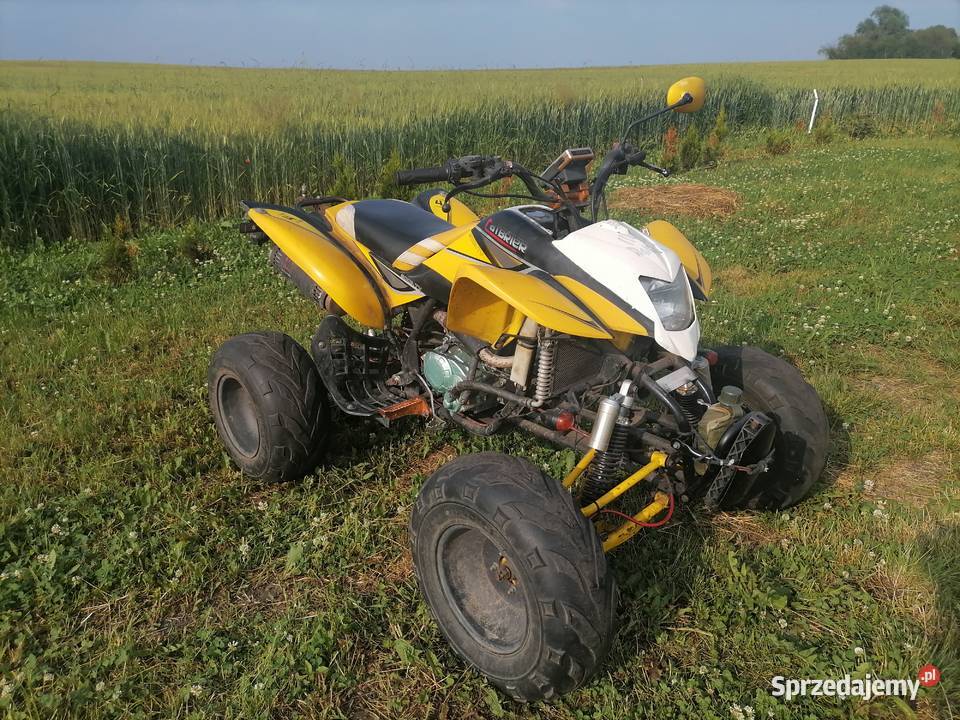Quad Bashan 200 kujawsko-pomorskie Januszewo