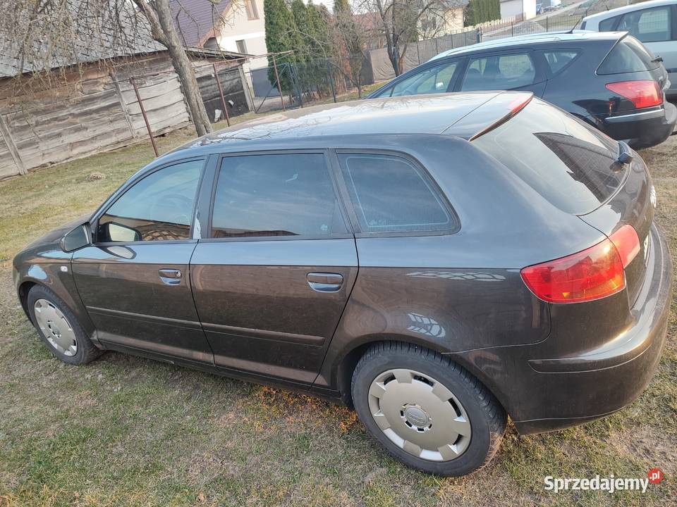 Audi A3 8p hatchback 20 TDI Rok produkcji 2006 Dudki