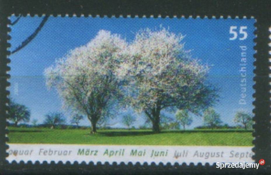 Zn RFN wykaz w opisie kas 2006 sprzedam