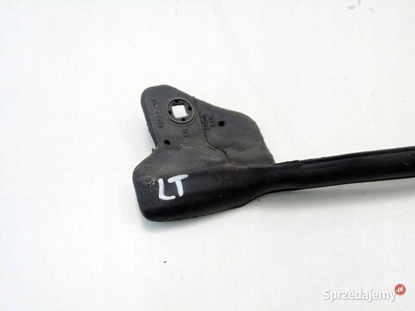 Uszczelka drzwi lewy tył Nissan Almera Tino śląskie Sosnowiec