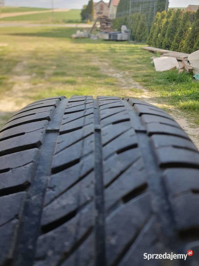 Opony letnie Dębica 175 65 r15 Samochodowe Krzczonów Pierwszy