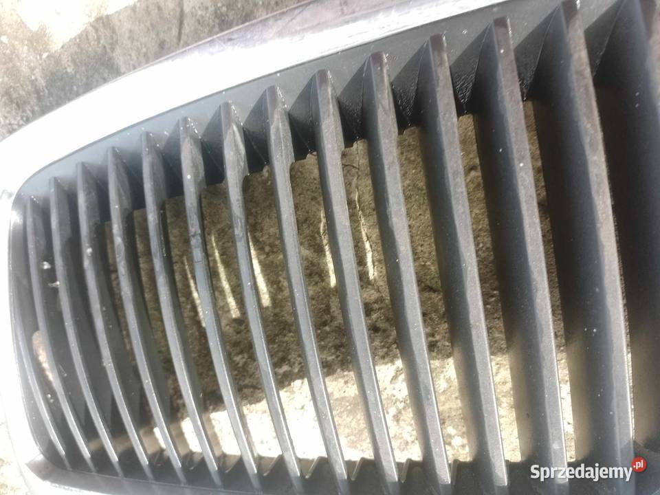 Gril Atrapa koda Ślesin sprzedam