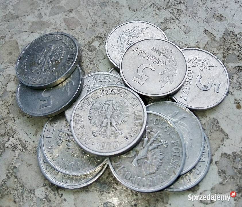 POLSKA 5 GROSZY 15 SZTUKAL mazowieckie