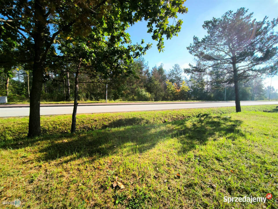 Grunt 814m2 Sitkówka