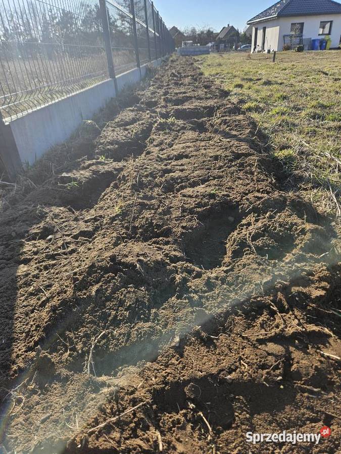 WYNAJEM Profesjonalnej Glebogryzarki Barreto Szczecinek