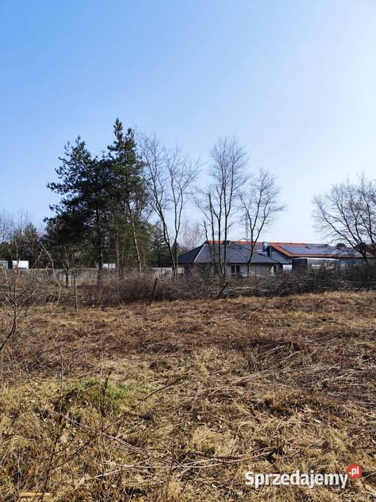 Działka budowlana i usługowa Michałów Reginów Nieruchomości Legionowo